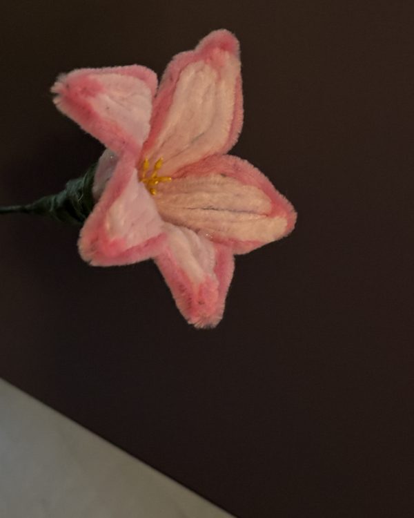 Blooming Lily Stem