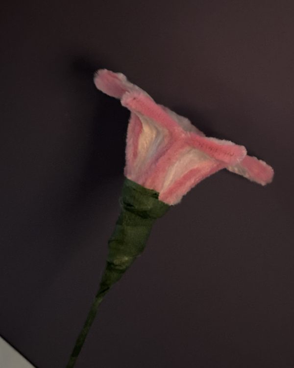 Blooming Lily Stem