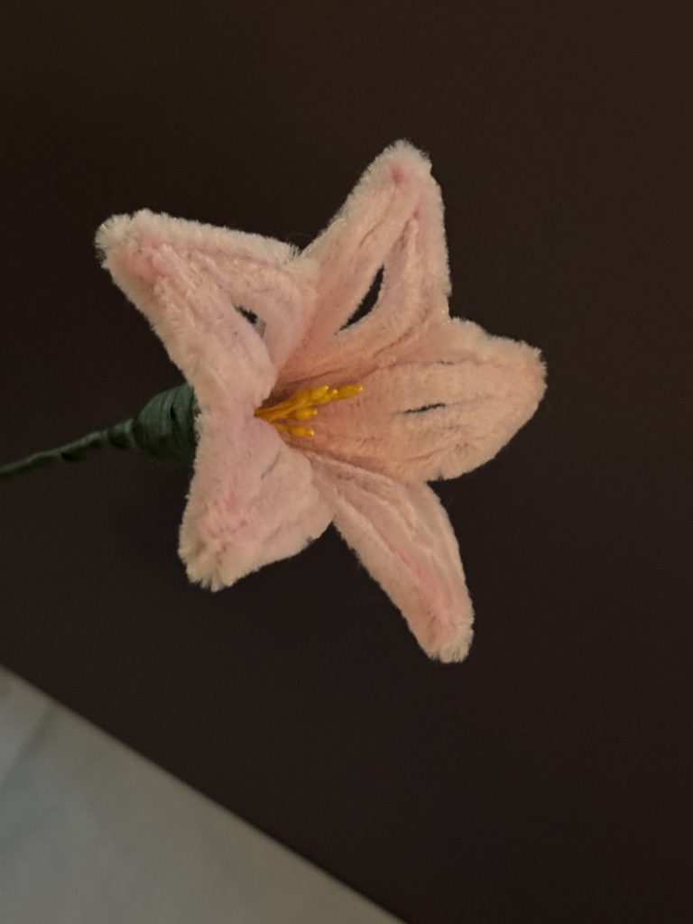 Blooming Lily Stem