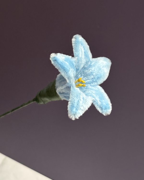 Blooming Lily Stem