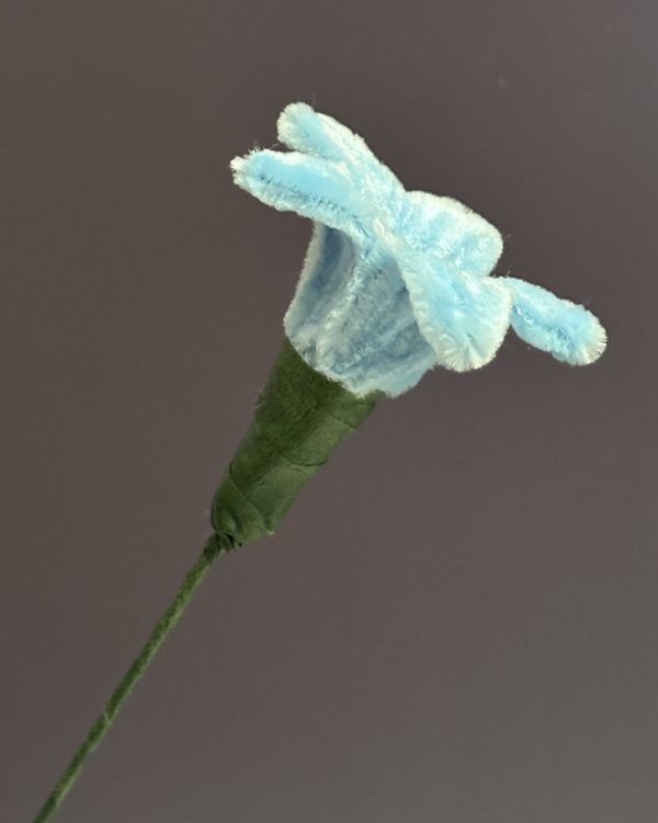 Blooming Lily Stem