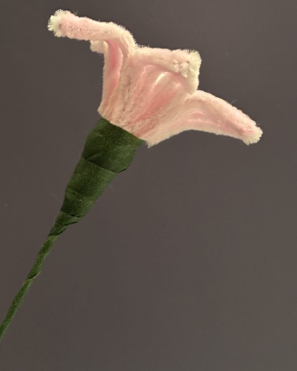 Blooming Lily Stem