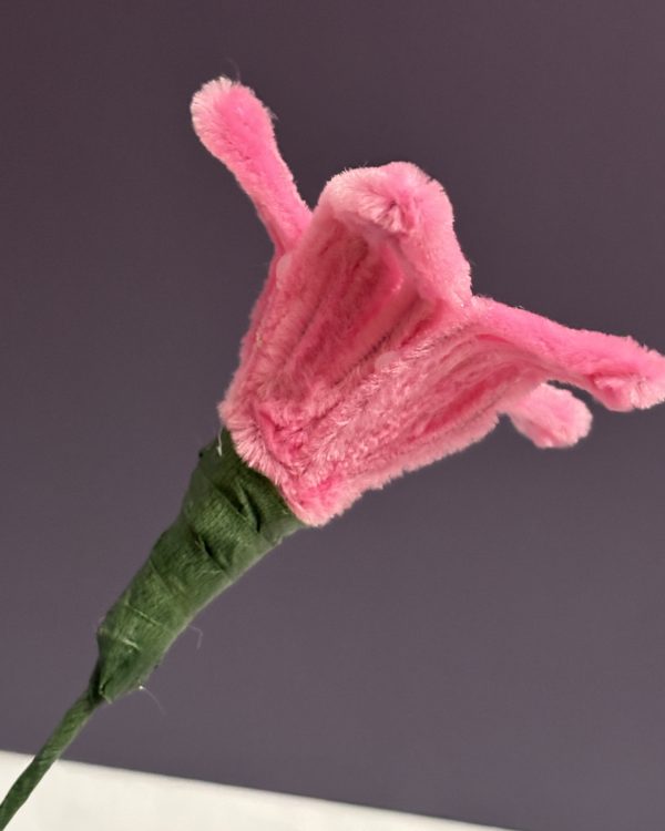 Blooming Lily Stem