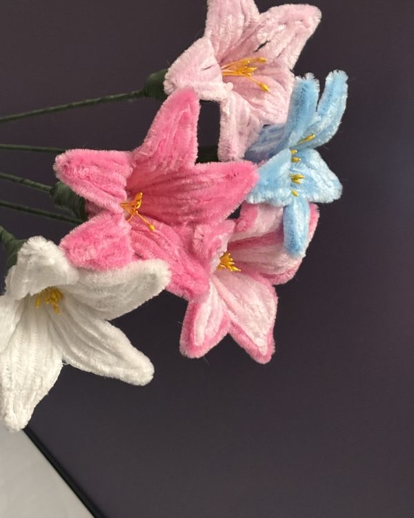 Blooming Lily Stem