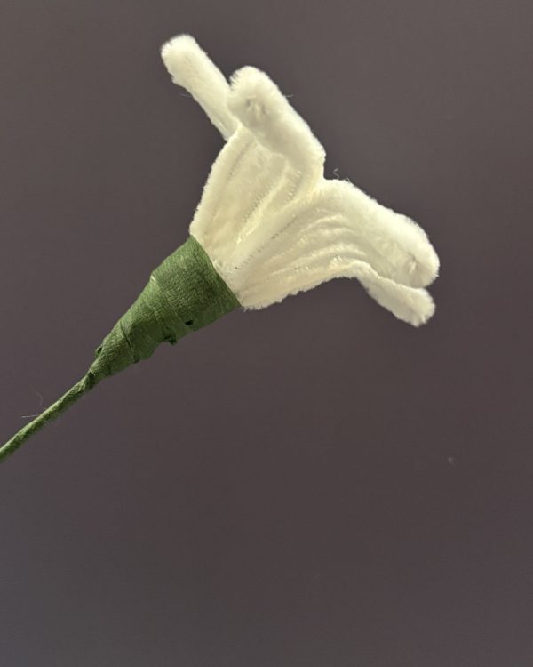 Blooming Lily Stem