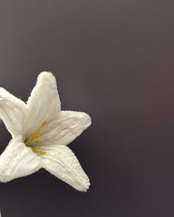 Blooming Lily Stem