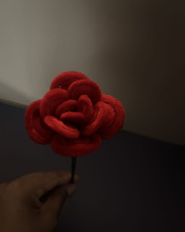 Single Rose Stem